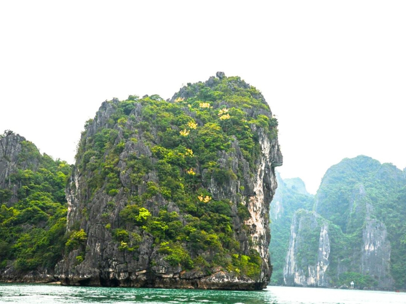 La teinte dorée des palmiers de Halong sur les sommets rocheux au cœur de la baie d’Halong
