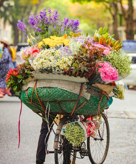 Top 10 meilleures activités à faire à Hanoi