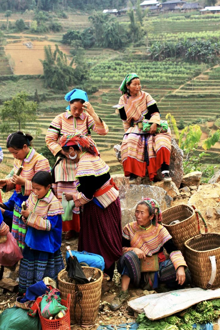bac ha vietnam