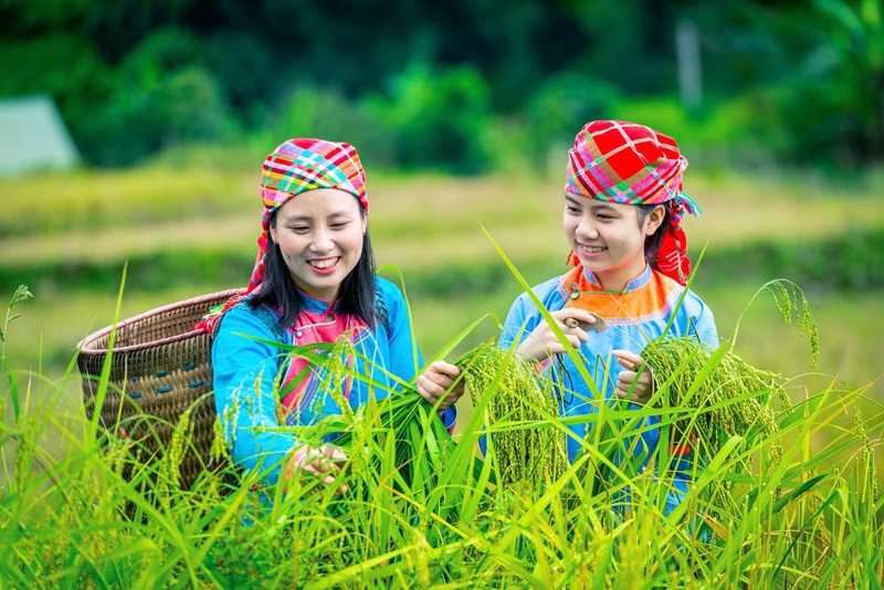 Hors des sentiers battus