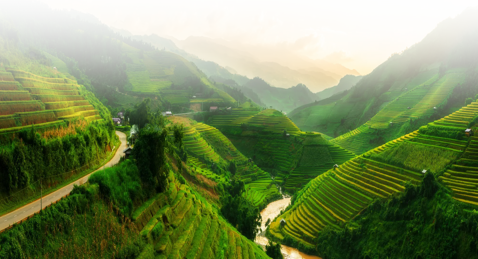 newsletter horizon vietnam - new