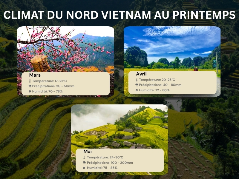 Climat du Nord Vietnam au printemps