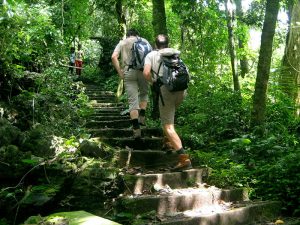 Cuc Phuong Parc National Ninh Binh