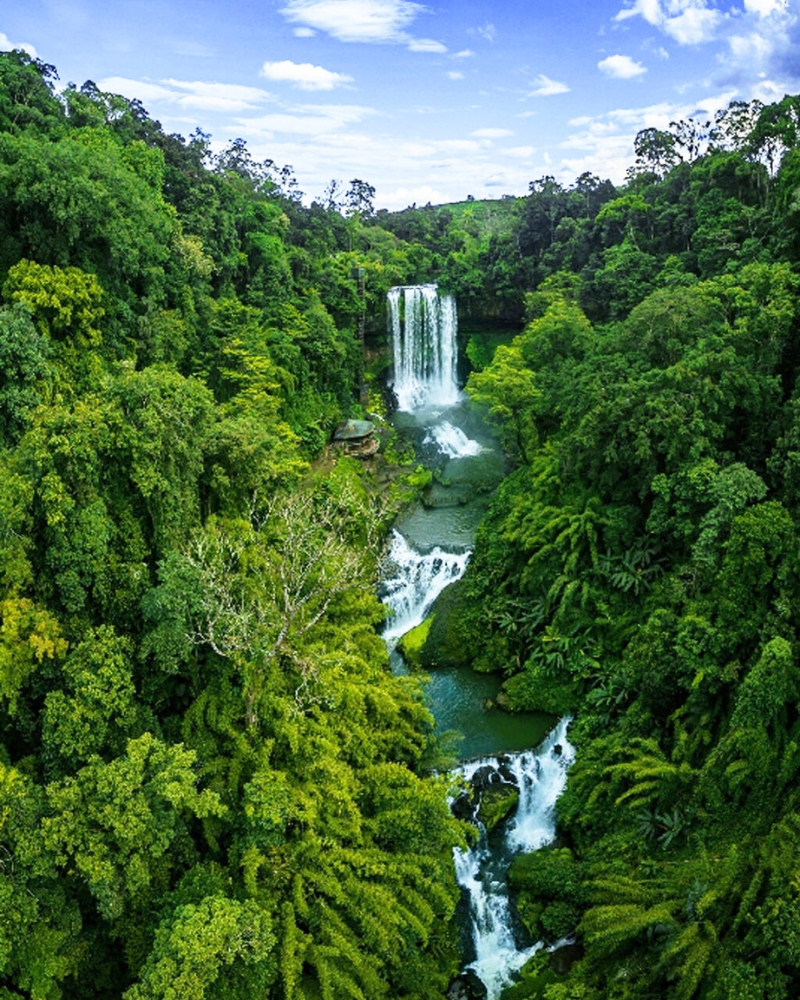 Les chutes de Dambri