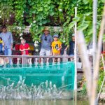 Observer les poissons serpents volants est une expérience très intéressante à Côn Son