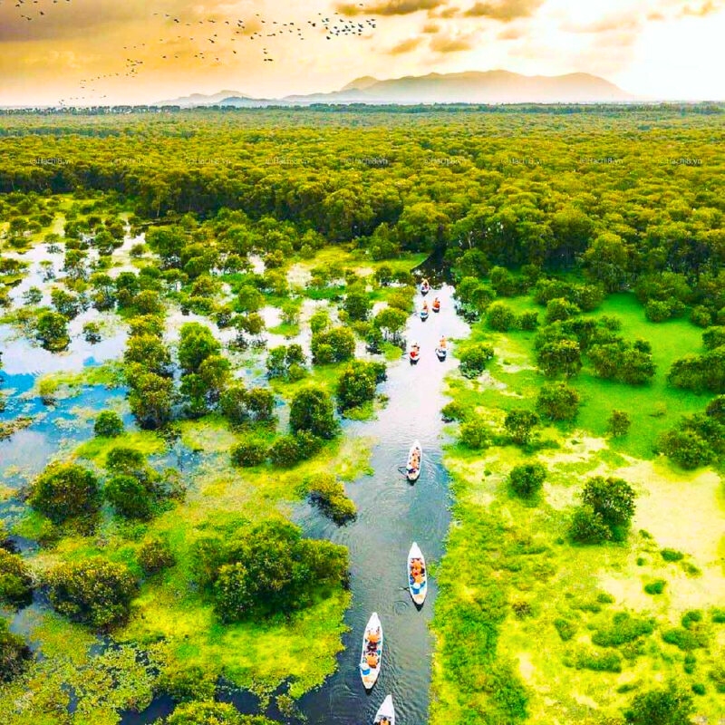 Sanctuaire d’oiseaux de Tra Su