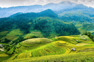 le-riziere-en-terrasse-de-Mu-Cang-Chai