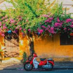 vieille ville hoi an