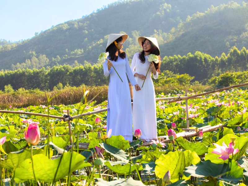 La grâce des jeunes femmes vietnamiennes sublimée par la présence des lotus
