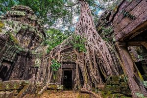 Ta Prohm Cambodge voyage