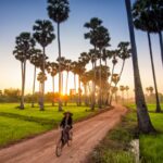 la-province-de-battambang-cambodge