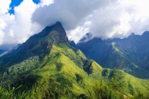 tay con linh ha giang