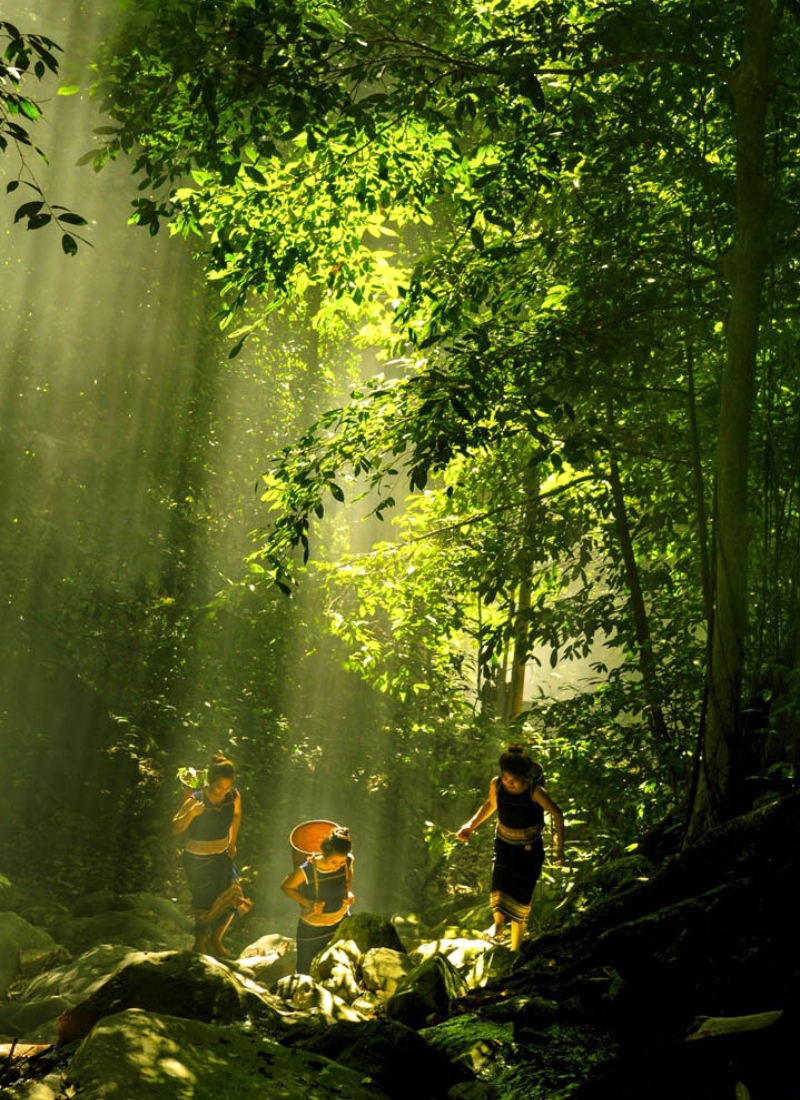 Parc national de Chư Mom Ray