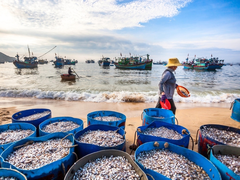 Le village de pêcheurs de Bao Ninh, un ancien village situé sur la presqu’île de Bao Ninh.