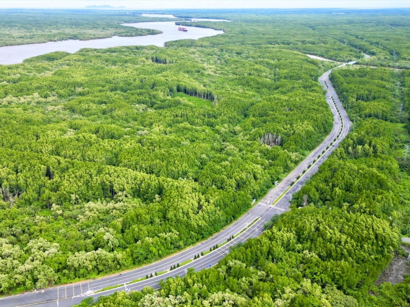 Réserve naturelle de Cân Gio