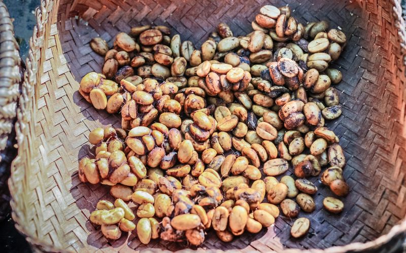 Trésor des hauts plateaux du Vietnam, le Café de civette séduit par ses arômes doux et complexes, fruits d’un savoir-faire transmis avec soin