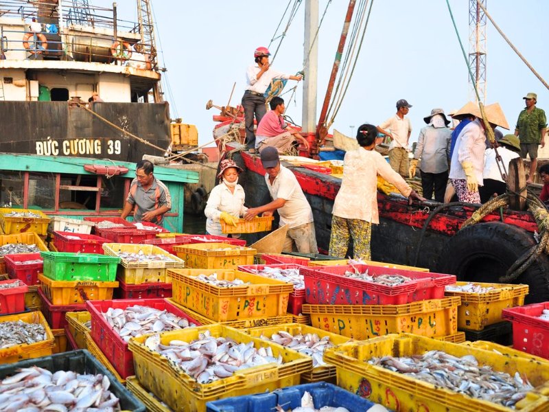 Les fruits de mer et poissons du Vietnam