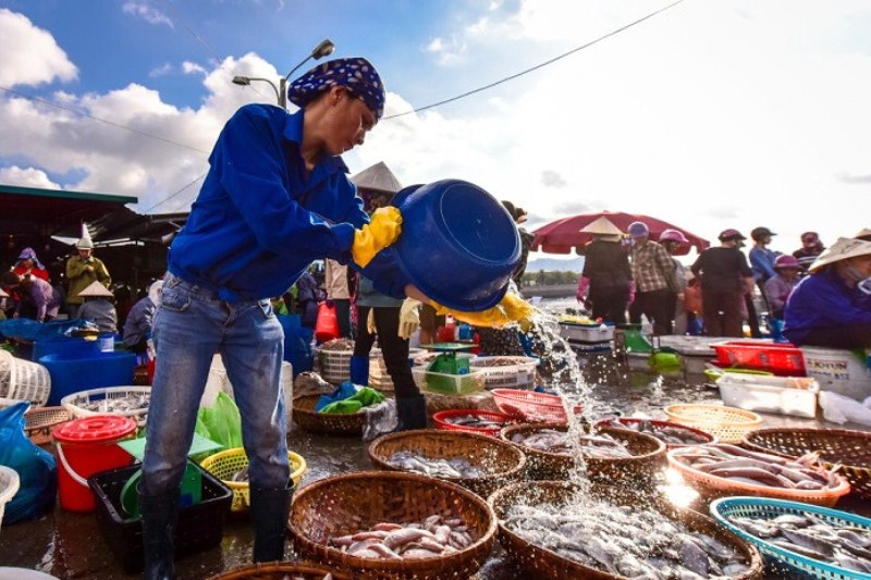 Marché aux fruits de mer de Ha Long, réputé pour la diversité et la fraîcheur de ses produits chaque matin